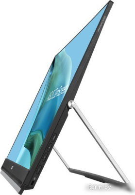Портативный монитор ASUS ZenScreen MB249C 