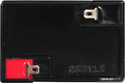 IPPON IP 6-4.5 (6В/4.5 А·ч) 