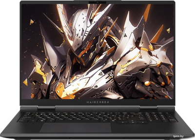 Maibenben X-Treme Tsunami X16F-R98957T0JGRLG4E10 