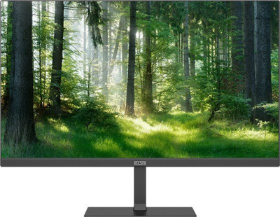 Монитор ELSA EA251Q 