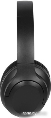 Наушники TFN Studio ANC (черный) 