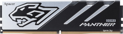 Оперативная память Apacer Panther 2x16ГБ DDR5 6400 МГц AH5U32G64C5527BAA-2 