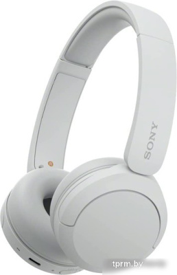 Наушники Sony WH-CH520 (белый) 