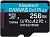 Карта памяти Kingston Canvas Go! Plus microSDXC 256GB 