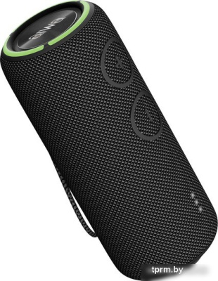 Беспроводная колонка Aiwa PAS-H300 (черный) 