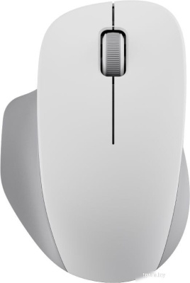 Xiaomi Wireless Mouse Comfort Edition XMWXSB04YM (белый, международная версия) 