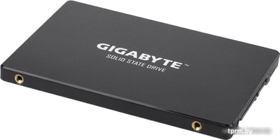 SSD Gigabyte 256GB GP-GSTFS31256GTND 