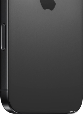 Смартфон Apple iPhone 16 Pro Max 256GB (черный титан) 