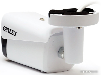 IP-камера Ginzzu HIB-5301A 