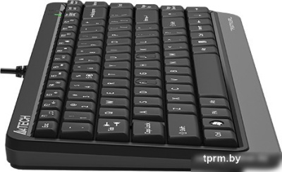 Клавиатура A4Tech Fstyler FKS11 (черный/серый) 