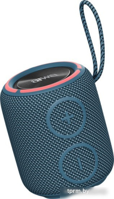 Aiwa PAS-H100 (темно-синий) 