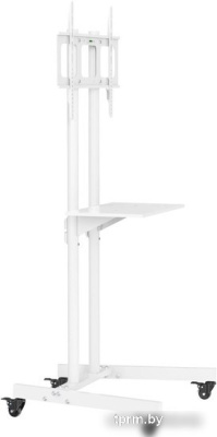 Кронштейн CACTUS CS-ST04WT 