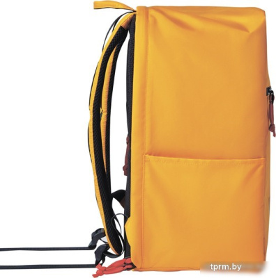 Городской рюкзак Canyon CNS-CSZ03YW01 (желтый/темно-синий) 