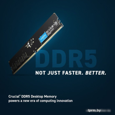 Оперативная память Crucial 16ГБ DDR5 5600 МГц CT16G56C46U5 