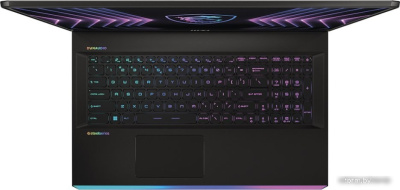 Игровой ноутбук MSI Raider GE77HX 12UHS-232RU 
