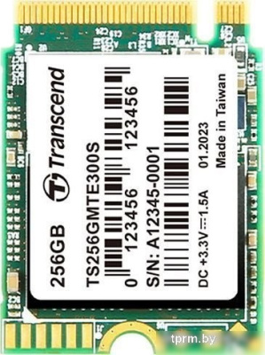 Transcend 300S 256GB TS256GMTE300S 