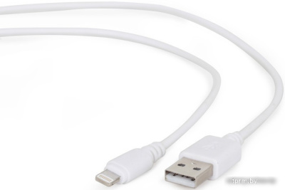 Кабель Cablexpert CC-USB2-AMLM-2M-W 