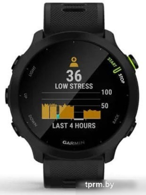 Умные часы Garmin Forerunner 55 (черный) 