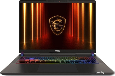 Ноутбук MSI Vector 16 HX AI A2XWJG-665XBY Cosmos Gray (9S7-15M352-665) 
