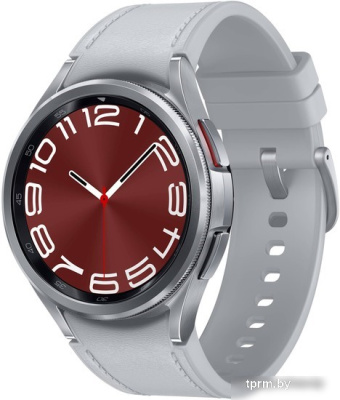 Умные часы Samsung Galaxy Watch6 Classic 43 мм (серебристый) 