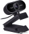Веб-камера A4Tech PK-930HA 