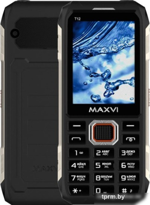 Мобильный телефон Maxvi T12 (черный) 