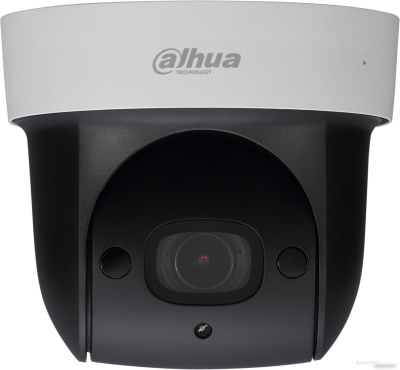 IP-камера Dahua DH-SD29204UE-GN 