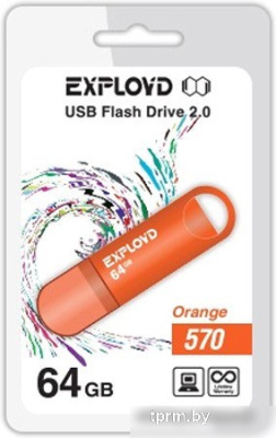 USB Flash Exployd 570 64GB (оранжевый) [EX-64GB-570-Orange] 