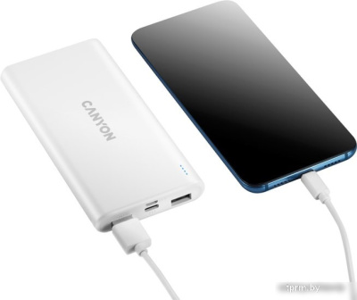 Canyon PB-106 10000mAh (белый) 