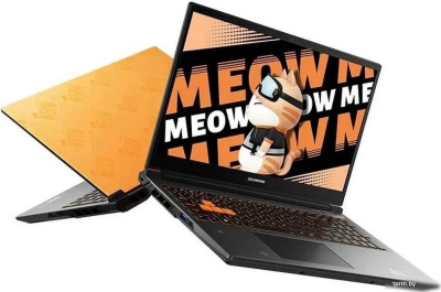 Игровой ноутбук Colorful Evol MEOW R15 A10305000025 