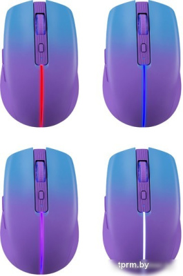 Мышь Defender Mystery MM-301 