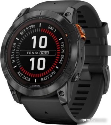 Garmin Fenix 7 Pro Solar (сланцево-серый/черный) 