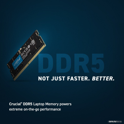 Оперативная память Crucial 16ГБ DDR5 SODIMM 5600МГц CT16G56C46S5 