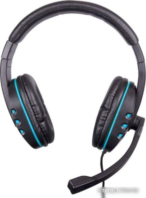 Наушники Ritmix RH-555M (черный/синий) 