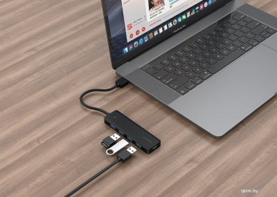 USB-хаб Gembird UHB-U3P4P-02 