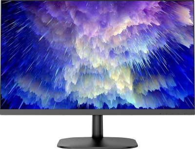 Монитор NPC MQ2409-A 
