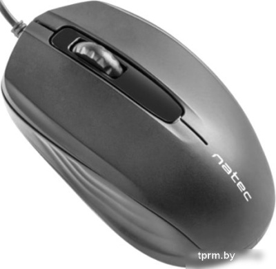 Мышь Natec Hoopoe 