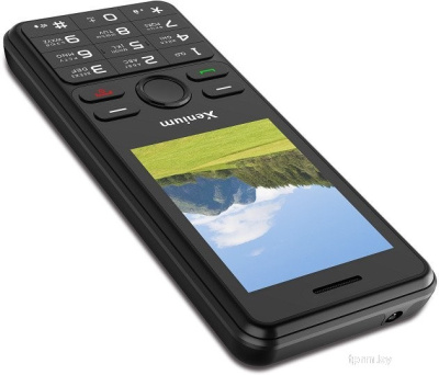 Телефон Xenium X280 (черный) 