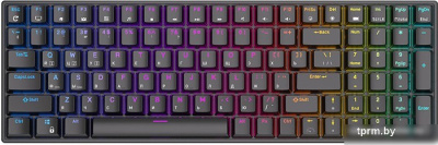 Клавиатура Royal Kludge RK100 RGB (черный, RK Red) 