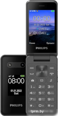 Кнопочный телефон Philips Xenium E2602 (темно-серый) 