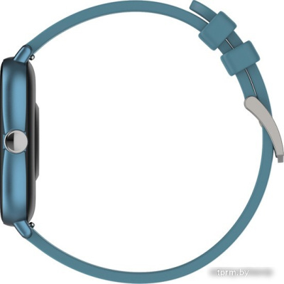 Умные часы Canyon Barberry SW-79 (синий) 