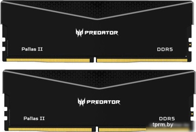 Оперативная память Acer Predator Pallas II 2x16ГБ DDR5 6400 МГц BL.9BWWR.531 