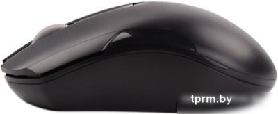 Мышь A4Tech G3-200NS (черный) 