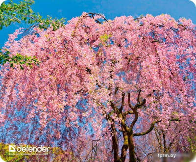 Коврик для мыши Defender Silk Pad Nature (50707) 