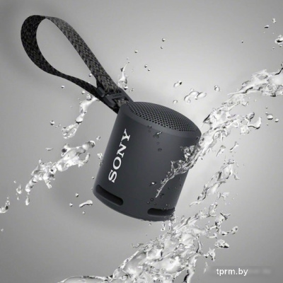 Sony SRS-XB13 (черный) 