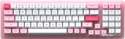 Akko ACR 98 Mini Prunus Lannesiana (Akko CS Jelly White) 