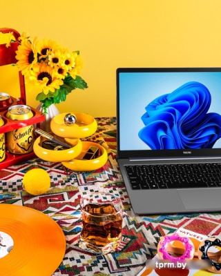 Ноутбук Tecno Megabook T1 4895180795992 