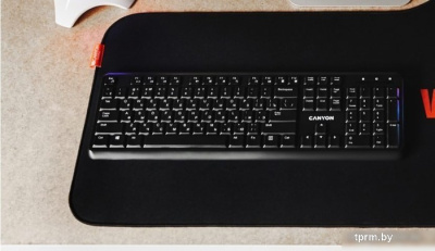 Коврик для мыши Canyon CND-CMP10 