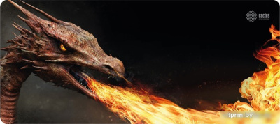 Коврик для стола CACTUS CS-MP-PRO06XXL 