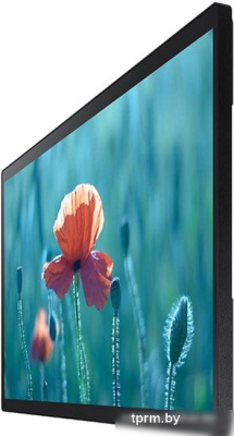 Интерактивная панель Samsung QB24R-T 